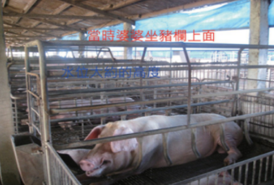2009八八水灾患难中的恩典-乌龙教会何秋月