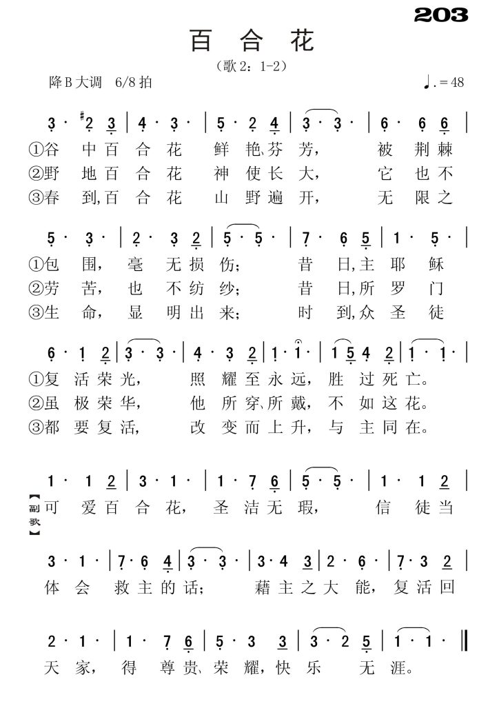 203百合花-简谱单声部