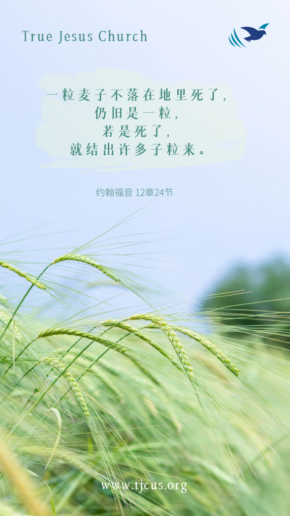 一粒麦子不落在地里死了，仍旧是一粒