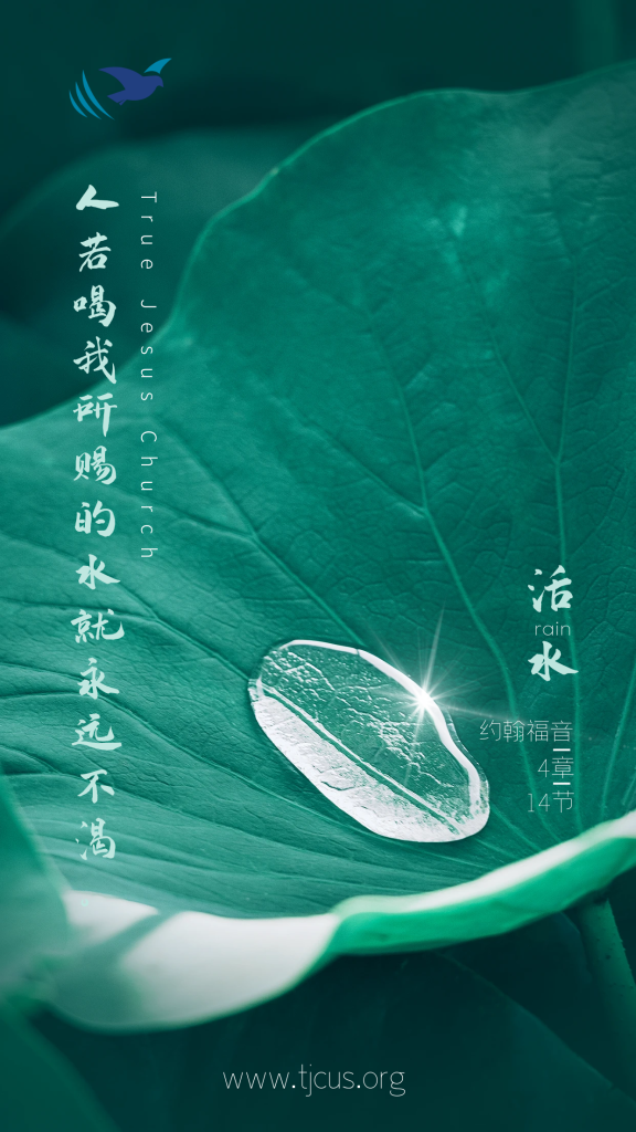 人若喝我所赐的水，就永远不渴