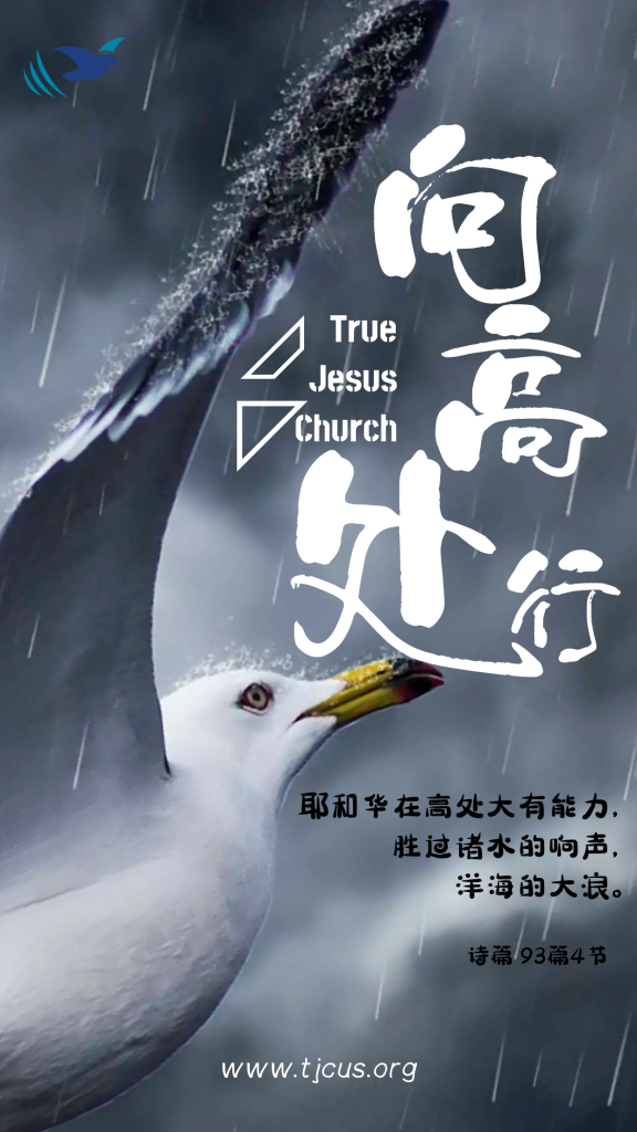 耶和华在高处大有能力